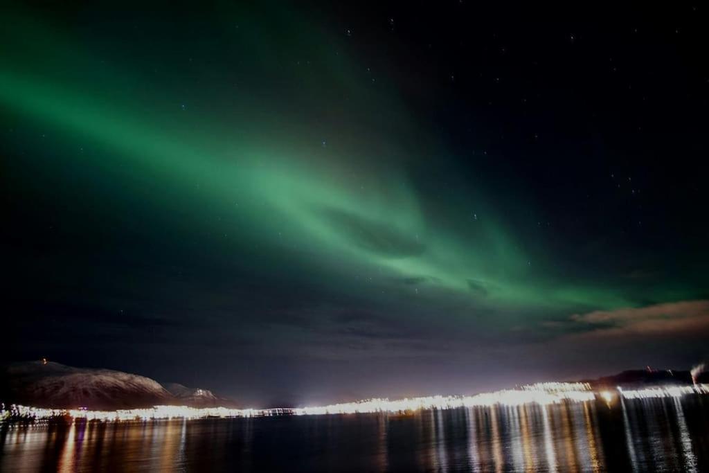 New Near The Sea Apartment Krokelvdalen